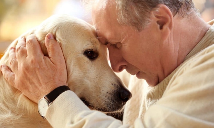 I cani capiscono i nostri gesti e le nostre parole?