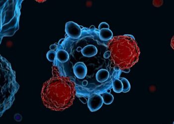 Cellula immunitaria che sconfigge i tumori la nuova interessante scoperta
