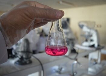 Tumore al colon identificate cellule resistenti alle cure