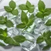 Alitosi, il rimedio naturale