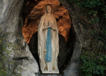 I malati vanno a Lourdes, perchè