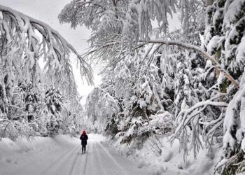 Camminare al freddo? Fa bene alla salute e aiuta a dimagrire