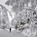 Camminare al freddo? Fa bene alla salute e aiuta a dimagrire