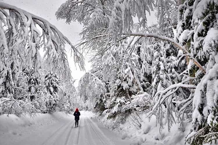Camminare al freddo? Fa bene alla salute e aiuta a dimagrire