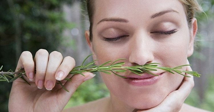 Le erbe naturali, i benefici contro la tristezza e migliorare l'umore