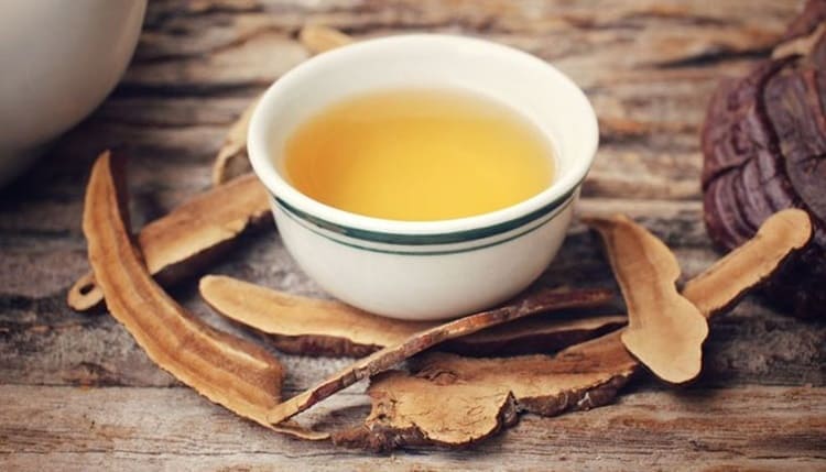 Ganoderma, antico fungo asiatico miracoloso per la salute