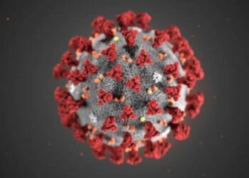 i virologi