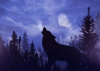 Lo spirito animale: di ogni segno zodiacale