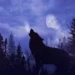 Lo spirito animale: di ogni segno zodiacale