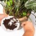 come-fare-il-concime-in-casa