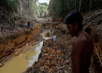 il-virus-amazzonia