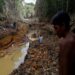 il-virus-amazzonia
