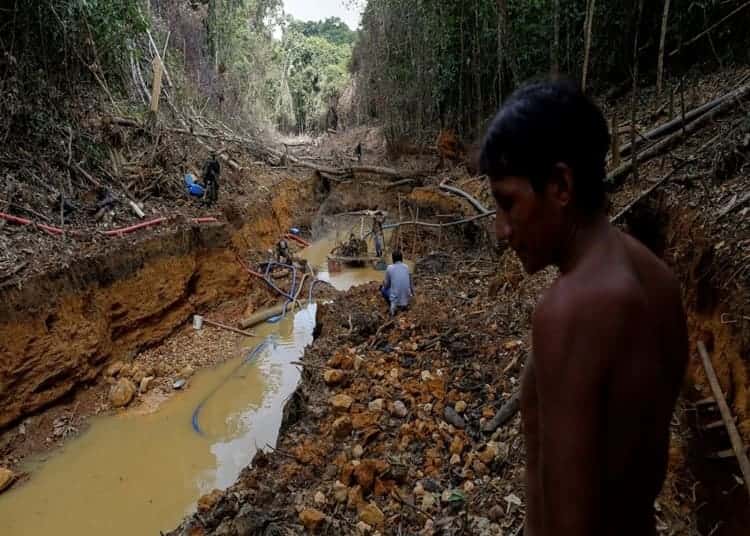il-virus-amazzonia