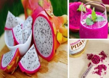 pitaya-frutto-drago