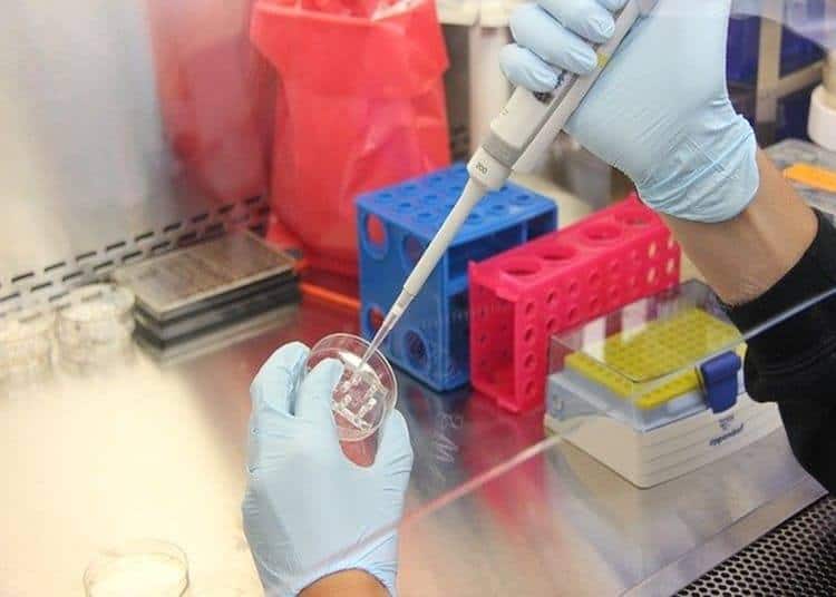 test rapidi coronavirus