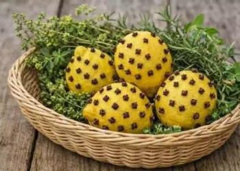 Addio alle zanzare, con chiodi di garofano e limoni