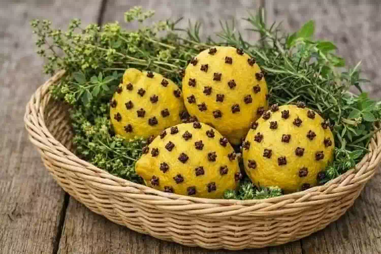 Addio alle zanzare, con chiodi di garofano e limoni