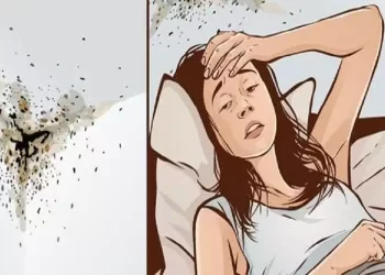 Come eliminare velocemente la muffa dalle pareti di casa