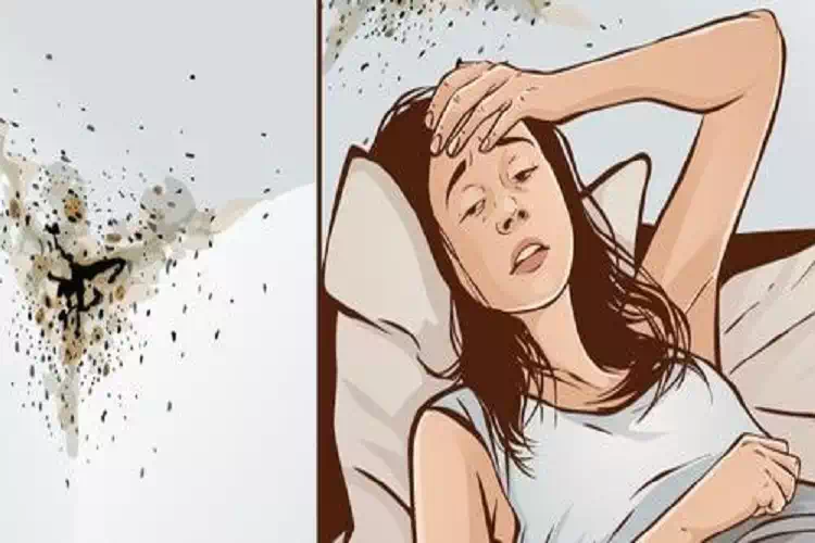 Come eliminare velocemente la muffa dalle pareti di casa