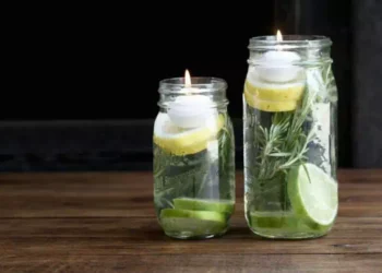 eliminare le zanzare con dei semplici ingredienti