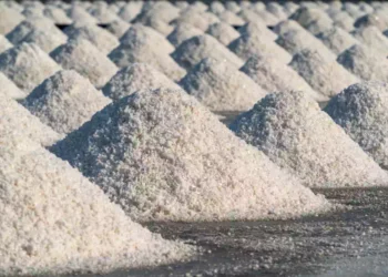 sale di sicciole ottimo per la salute