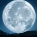 primo piano di una luna piena brillante in un cielo stellato