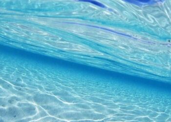 curiosità-segni-zodiacali-segni-dacqua