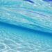 curiosità-segni-zodiacali-segni-dacqua