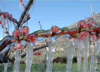 Temperature della settimana