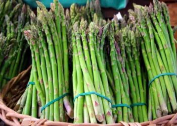 asparagi e cellulite