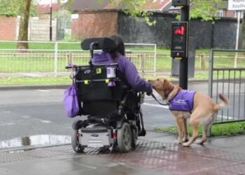 Aiuta la padrona disabile