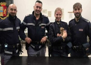 uomo gira con un cane-min