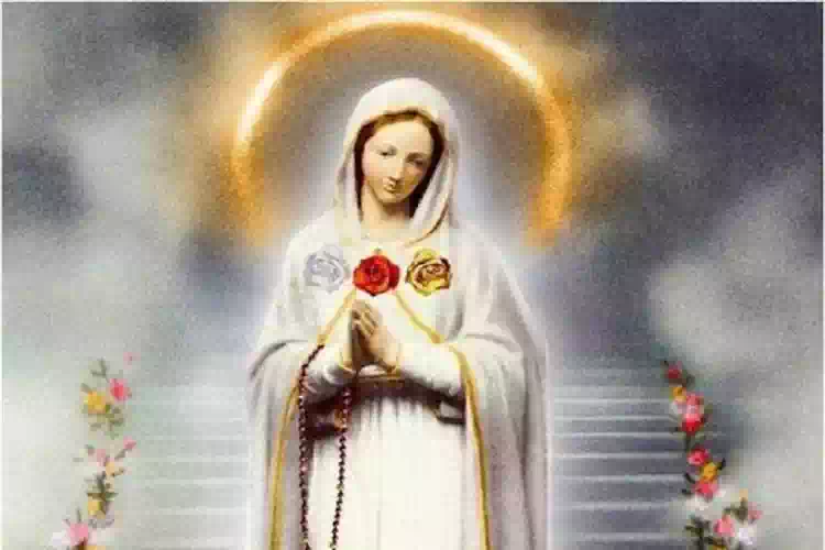 Rosa Mistica, la novena a Maria Santissima