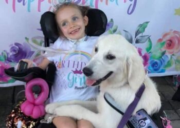 La nuova vita di Memphis Rose Hamman bimba