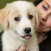 la storia del cucciolo di cane -min