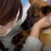 la storia di litte horse-min