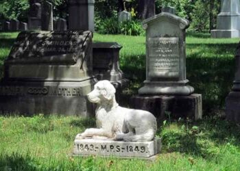 Cimiteri per animali in sicilia -min