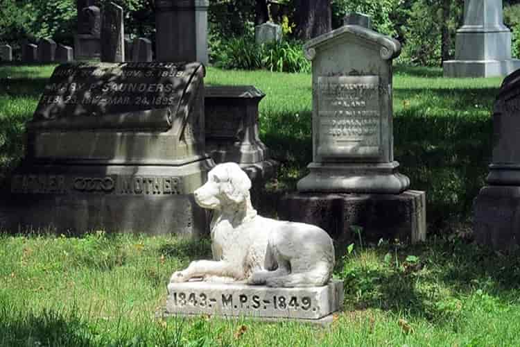 Cimiteri per animali in sicilia -min