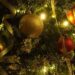 Come scegliere l'albero di Natale