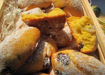Zaletti Veneti