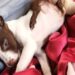 Cucciolo nato con cinque zampe e due code