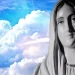 Oggi 28 febbraio si festeggia la Madonna delle Lacrime