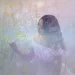 4 caratteristiche delle persone nate ad Aprile