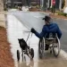 Bandit la commovente storia di un cane con il carrellino