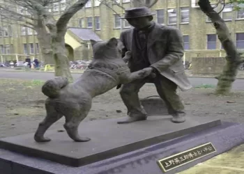 Statua di Hachiko