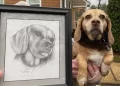 Abby, la cagnolina anziana lasciata davanti ad un rifugio