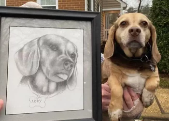 Abby, la cagnolina anziana lasciata davanti ad un rifugio
