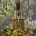 La bellissima preghiera alla Madonna di Torreciudad