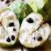 annona-min