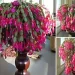 Come fa fiorire il cactus di Natale tutto l'anno